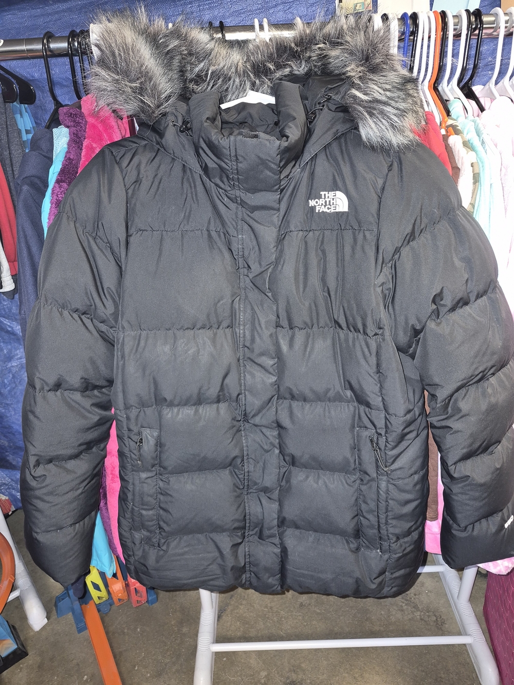 The North Face Black Hooded Puffer Jacket